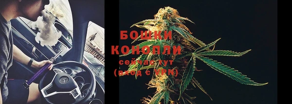 гидропоника Лагань