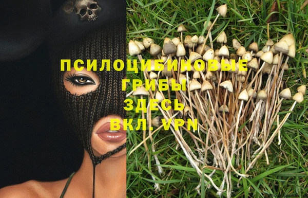 эйфоретик Лабытнанги