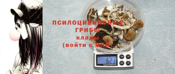 гидропоника Лагань