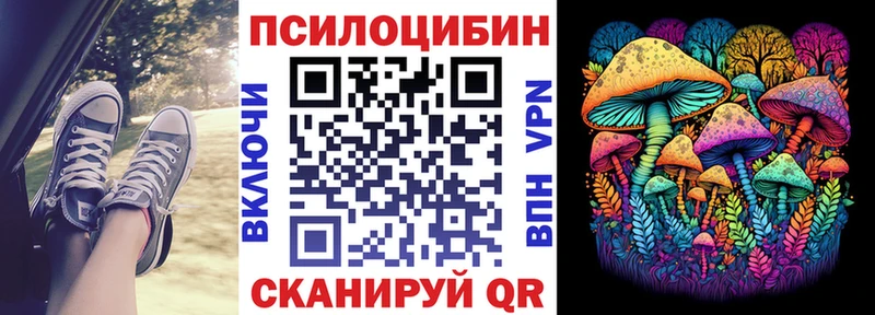 купить  сайты  Подпорожье  Псилоцибиновые грибы Psilocybine cubensis 